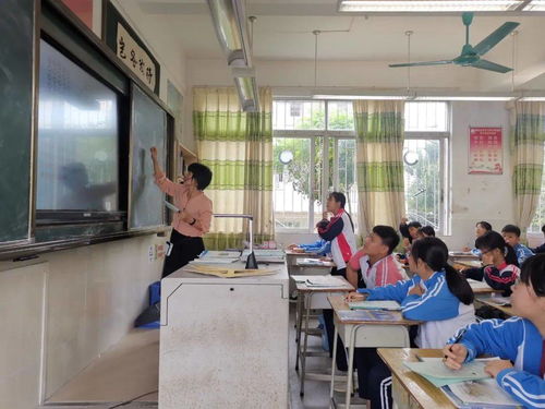 金秋丹桂送清香，专家引领促提升——广实教育集团温泉教育集群“6+2+n”项目初中专项提升教学指导活动纪实