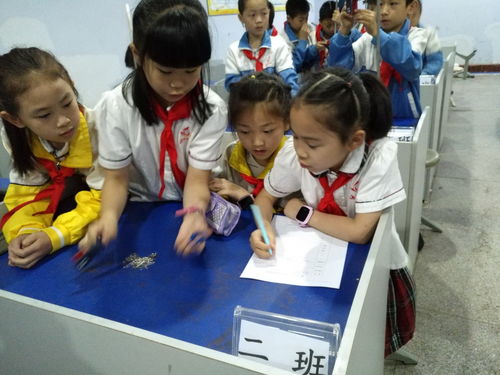思维在实验中碰撞，智慧在实践中点亮——通川区第七小学开展实验教学期末检测