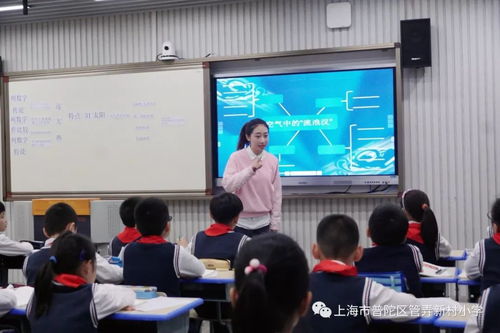 第381期 教孩子这样阅读 管小语文教研组专题研修之一 思维导图法